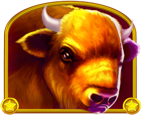 Búfalo